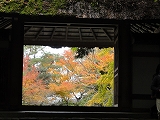 京都の紅葉は、世界で一番美しいとも言われています。それは、寺院、神社、世界文化遺産とのコラボ、されにライトアップなどの魅力があるからでしょう。